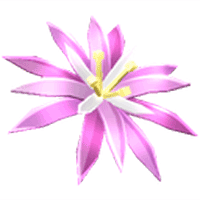 Paradise Petal