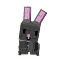 Black Bunny