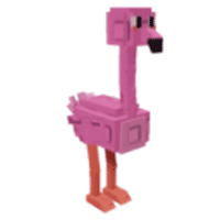 Flamingo