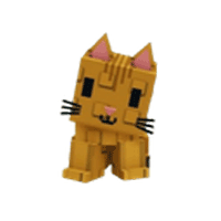 Orange Tabby