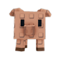 Pig