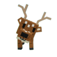 Spotted Deer