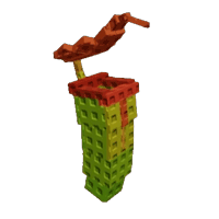 Pitcher Plant