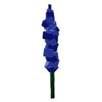 Delphinium