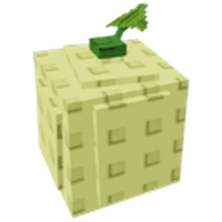 Cantaloupe